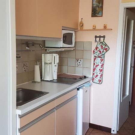 Joli Studio De 26 M² Avec Veranda De 6 M² Calme Et Vue Sur Montagne Amélie-les-Bains-Palalda Eksteriør bilde